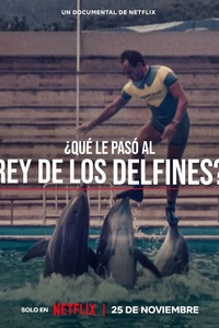 ¿Qué le pasó al rey de los delfines?