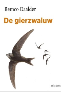 De gierzwaluw