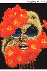 Rolling With The Punches