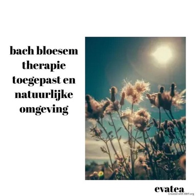 Bach bloesem therapie toegepast en natuurlijke omgeving