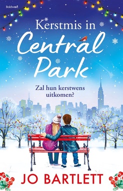 Kerstmis in Central Park