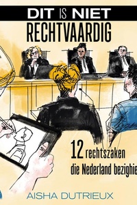 Dit is niet rechtvaardig: 12 rechtszaken die Nederland bezighielden