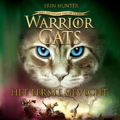 Het eerste gevecht
