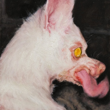 AT LEAST SOMETHING IS PROTECTING YOU