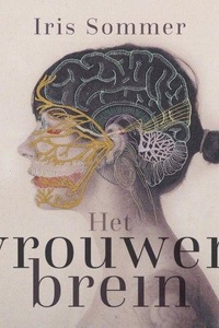 Het vrouwenbrein