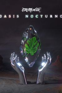 Oasis Nocturno
