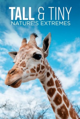 Tall & Tiny: Nature's Extremes