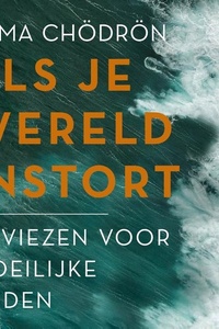 Als je wereld instort: Adviezen voor moelijke tijden
