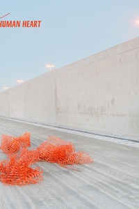 Human Heart