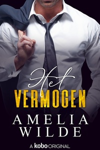 Rijkdom 1 - Het vermogen