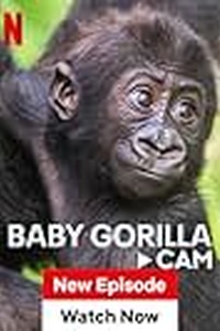 Baby Animal Cam