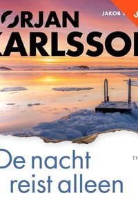 De nacht reist alleen