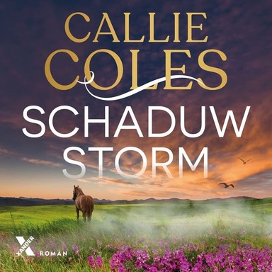 Schaduwstorm