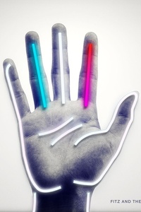 Fitz and The Tantrums