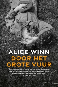 Door het grote vuur