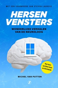 Hersenvensters