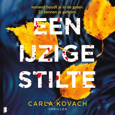 Een ijzige stilte: Iemand houdt je in de gaten. Ze kennen je geheim.