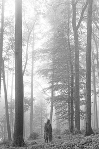 folklore (deluxe version)