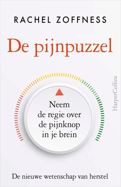 De pijnpuzzel