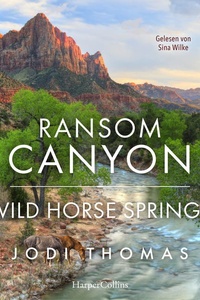 Ransom Canyon: Wild Horse Springs: Liebe, Gesetz und Geheimnisse im Herzen Texas: Finde Dein Schicksal am Ransom Canyon! | Band 5 zur Netflix-Serie
