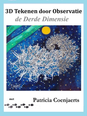 Tekenen door Observatie 1 -  3D Tekenen door Observatie