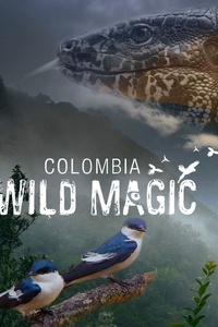 Colombia: Wild Magic