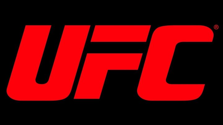 UFC 313 Pereira vs. Ankalaev: Waar en hoe laat kijk je in Nederland live mee?