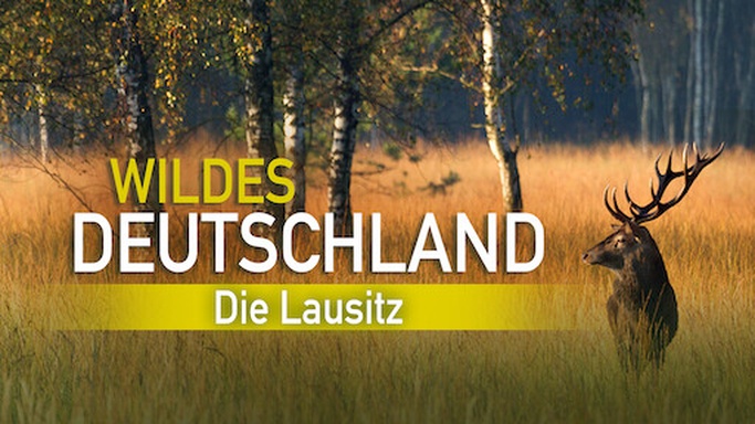 Wildes Deutschland die Lausitz