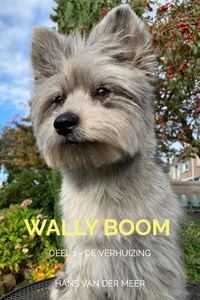 Wally Boom