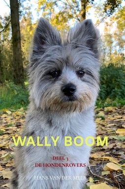 Wally Boom