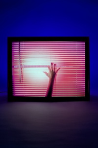 Screen Violence: Director’s Cut