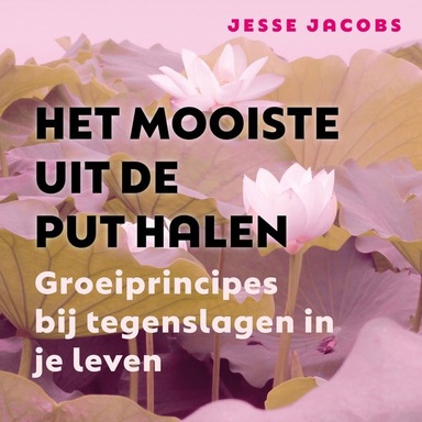 Het Mooiste Uit de Put Halen
