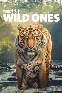 The Wild Ones