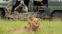Nieuwe serie LION nu te zien op Disney+: alle afleveringen direct online