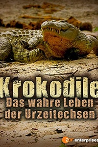 Krokodile - Das wahre Leben der Urzeitechsen