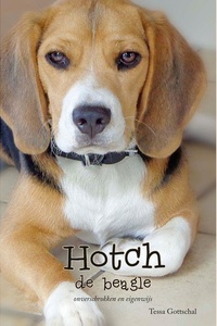 Hotch de Beagle: onverschrokken en eigenwijs