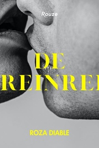 De treinreis