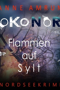 SoKo Nord - Flammen auf Sylt: Syltkrimi Nordseekrimi
