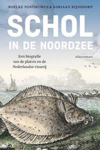 Schol in de noordzee