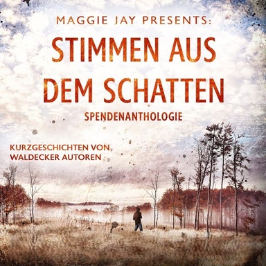 Stimmen aus dem Schatten: Spendenanthologie - Kurzgeschichten von Waldecker Autoren