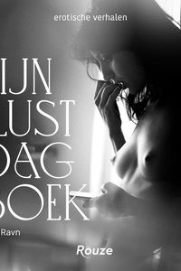 Mijn lustdagboek