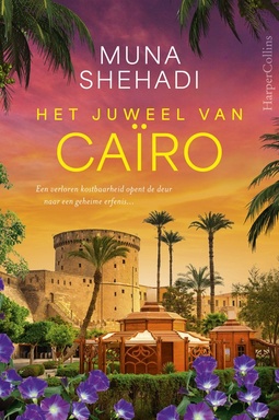 De verloren schatten 2 - Het juweel van Caïro