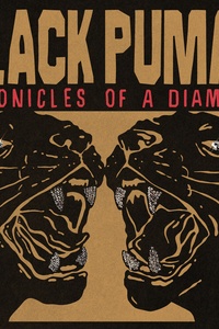 Chronicles of a Diamond