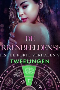 De Sterrenbeeldenserie: erotische korte verhalen voor Tweelingen