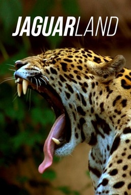 Jaguarland