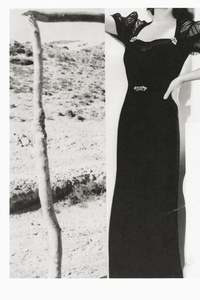 Valleys Of The Young