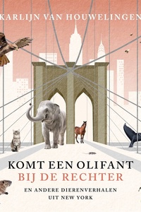 Komt een olifant bij de rechter