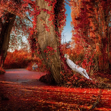 Flowers That Don't Exist