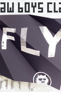 Fly