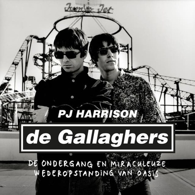 De Gallaghers: De ondergang en miraculeuze wederopstanding van Oasis